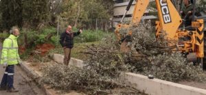 Μαρούσι: Σε εξέλιξη βρίσκεται σε όλες τις γειτονιές του Αμαρουσίου το έκτακτο πρόγραμμα αποκομιδής κλαδιών και ογκωδών