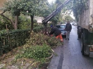 Παπάγου Χολαργός: Συνεχίζεται με εντατικούς ρυθμούς η αποκομιδή κλαδιών και πρασίνου