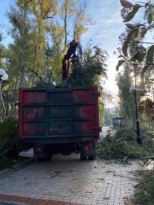 Παπάγου Χολαργός: Συνεχίζεται με εντατικούς ρυθμούς η αποκομιδή κλαδιών και πρασίνου