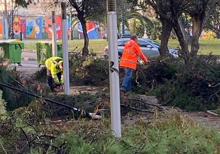 Παπάγου Χολαργός: Συνεχίζεται με εντατικούς ρυθμούς η αποκομιδή κλαδιών και πρασίνου