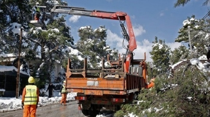 Χαλάνδρι: Εκατοντάδες δέντρα, κυρίως πεύκα, χάθηκαν στο Χαλάνδρι λόγω της κακοκαιρίας