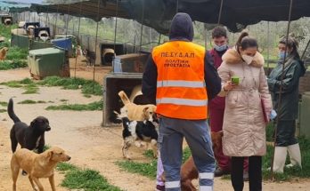 ΚΕΔΕ: Αναγκαία η οικονομική ενίσχυση των Δήμων, για τη διασφάλιση κατάλληλων συνθηκών φιλοξενίας για τα αδέσποτα ζώα