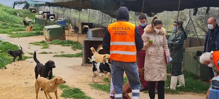 ΚΕΔΕ: Αναγκαία η οικονομική ενίσχυση των Δήμων, για τη διασφάλιση κατάλληλων συνθηκών φιλοξενίας για τα αδέσποτα ζώα