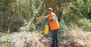 Μεταμόρφωση: Πρόγραμμα καταπολέμησης κουνουπιών από την Περιφέρεια Αττικής στον Δήμο