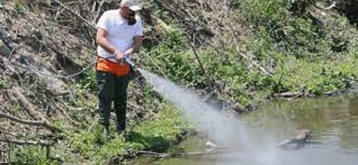 Μεταμόρφωση: Πρόγραμμα καταπολέμησης κουνουπιών από την Περιφέρεια Αττικής στον Δήμο