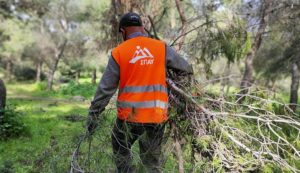 ΣΠΑΥ : Συνεχίζονται ακατάπαυστα οι εργασίες καθαρισμού στα δασικά τμήμα του Υμηττού