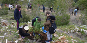 ΣΠΑΠ: Δράση Δενδροφύτευσης σε συνεργασία με το 1ο Δημοτικό Σχολείο Μελισσίων στο Πεντελικό.