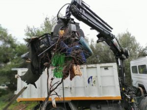 ΣΠΑΥ : Δράση καθαρισμού στην περιοχή των Γλυκών Νερών