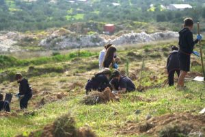 ΣΠΑΥ : Δενδροφύτευσει με τους μαθητές του Κολλεγίου Αθηνών Ψυχικού στους πρόποδες του Υμηττού