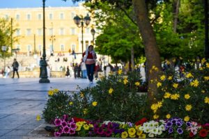 Αθήνα: Ο Δήμος Φύτεψε πολύχρωμα λουλούδια στα παρτέρια της πρωτεύουσας