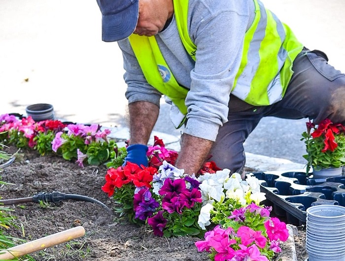Αθήνα: Ο Δήμος Φύτεψε πολύχρωμα λουλούδια στα παρτέρια της πρωτεύουσας