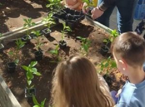 Ηράκλειο Αττικής: Περισσότερους μικρούς λαχανόκηπους σχολεία της πόλης από τον Δήμο