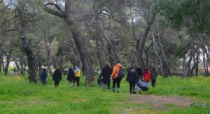 Λυκόβρυση Πεύκη: Εθελοντική Δράση Καθαρισμού στο Δάσος Κάσδαγλη