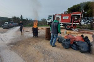 ΣΠΑΠ : Ολοκληρώθηκε το πρόγραμμα κοψίματος και καψίματος κουκουλιών πιτυοκάμπης  (κάμπιας)