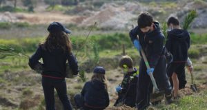 ΣΠΑΥ : Παρουσία τριών Υπουργών συνεδριάζει το Διοικητικό Συμβούλιο του ΣΠΑΥ