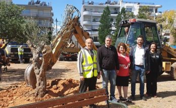 Βριλήσσια: Τέσσερις αιωνόβιες ελιές, φυτεύτηκαν σήμερα σε πάρκα στην καρδιά της πόλης