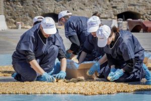 Ηράκλειο Κρήτης: Ρεκόρ Guinness για το μεγαλύτερο «μωσαϊκό» από καλιτσούνια