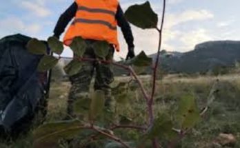 Εθελοντική Δράση Καθαρισμού