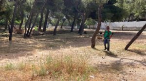 Δράση Εθελοντικού Καθαρισμού στη Ρεματιά Πεντέλης-Χαλανδρίου και στο Δάσος Θεοκλήτου από τους Δήμους Πεντέλης και Βριλησσίων και τον ΣΠΑΠ