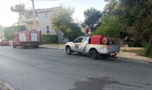 Πεντέλη: Φωτιά στην οδών Αγίου Ιωάννου και Τερψιθέας στην Δημοτική Ενότητα Μελισσίων λόγω πρόσκρουσης πουλιού στα καλώδια της ΔΕΗ