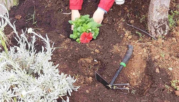 Πεντέλη: Γιορτή Λουλουδιών στα προαύλια των Δημοτικών Παιδικών Σταθμών του Δήμου