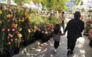 Στην πλατεία Κανάρη στο Πασαλιμάνι εγκαινιάστηκε η γιορτή λουλουδιών 