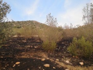 ΣΠΑΥ: Πυρκαγιά στην περιοχή της Γλυφάδας στη δασική έκταση στο τέρμα της οδού Λόρδου Βύρωνα