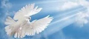 Δήλωση του Περιφερειάρχη Αττικής Γ. Πατούλη για την εορτή του Αγίου Πνεύματος