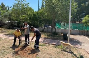 Βριλήσσια: 8η Γιορτής Περιβάλλοντος του Δήμου