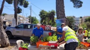 Πεντέλη: Γιορτή για την Παγκόσμια Ημέρα Περιβάλλοντος2022 από το Δήμο και τον ΣΠΑΠ στο Πευκοδάσος Μελισσίων