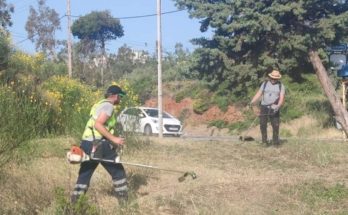 Πεντέλη: Καλούνται οι δημότες να καθαρίσουν άμεσα τα οικόπεδα τους