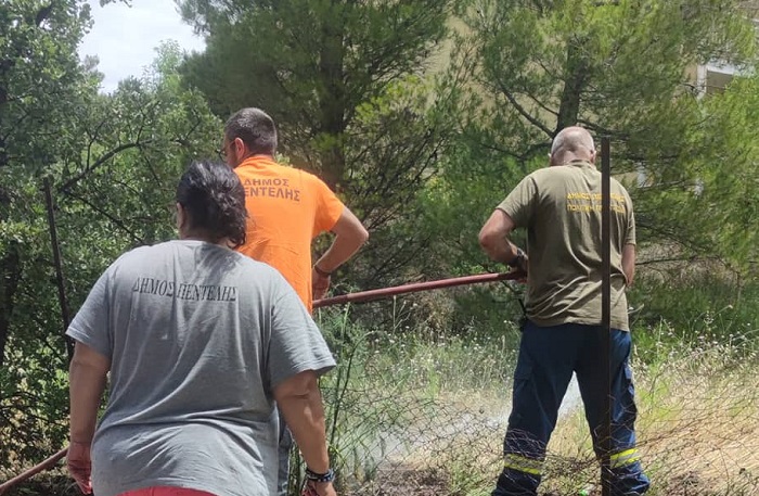 Μικρής έκτασης φωτιά εκδηλώθηκε σήμερα το πρωί  οδό Κρυστάλλη Αγίας Τριάδας Πεντέλης