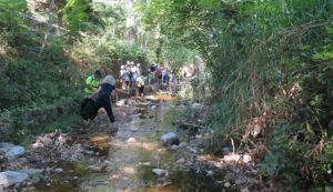 «Σύλλογος Προστασίας Περιβάλλοντος και Ρεματιάς Πεντέλης Χαλανδρίου» Οι δράσεις μας για την ημέρα Περιβάλλοντος  5 Ιουνίου