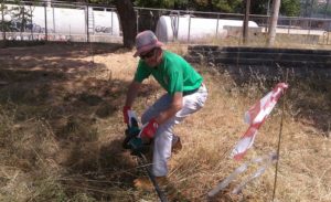 «Σύλλογος Προστασίας Περιβάλλοντος και Ρεματιάς Πεντέλης Χαλανδρίου» Οι δράσεις μας για την ημέρα Περιβάλλοντος  5 Ιουνίου