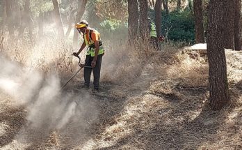 Σ.Π.Α.Π: Ολοκληρώθηκε το πρώτο στάδιο συνδρομής καθαρισμών και αποψιλώσεων