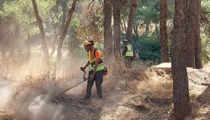 Σ.Π.Α.Π: Ολοκληρώθηκε το πρώτο στάδιο συνδρομής καθαρισμών και αποψιλώσεων