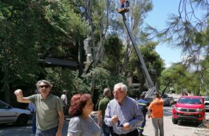 Μαρούσι:  Αυτοψία του Δημάρχου Αμαρουσίου στις εργασίες αποψίλωσης και κοπής επικίνδυνων κλαδιών στην περιοχή της Νέας Λέσβου