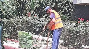 Μαρούσι: Εργασίες καθαριότητας, συντήρησης πρασίνου στο Δήμο Αμαρουσίου και οδηγίες για την πρόληψη από πυρκαγιές