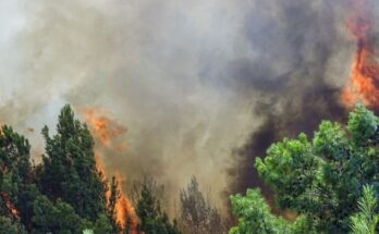 Με απόφαση του Γενικού Γραμματέα Πολιτικής Προστασίας τίθεται σε κατάσταση έκτακτης ανάγκης ο Δήμος για να αποκαταστήσει τις ζημιές και τα προβλήματα που δημιουργήθηκαν από την πυρκαγιά