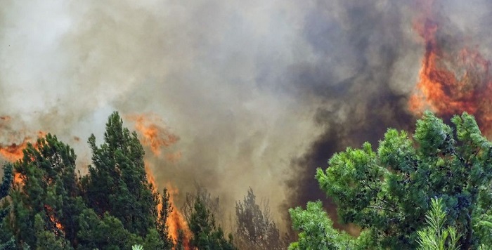 Με απόφαση του Γενικού Γραμματέα Πολιτικής Προστασίας τίθεται σε κατάσταση έκτακτης ανάγκης ο Δήμος για να αποκαταστήσει τις ζημιές και τα προβλήματα που δημιουργήθηκαν από την πυρκαγιά