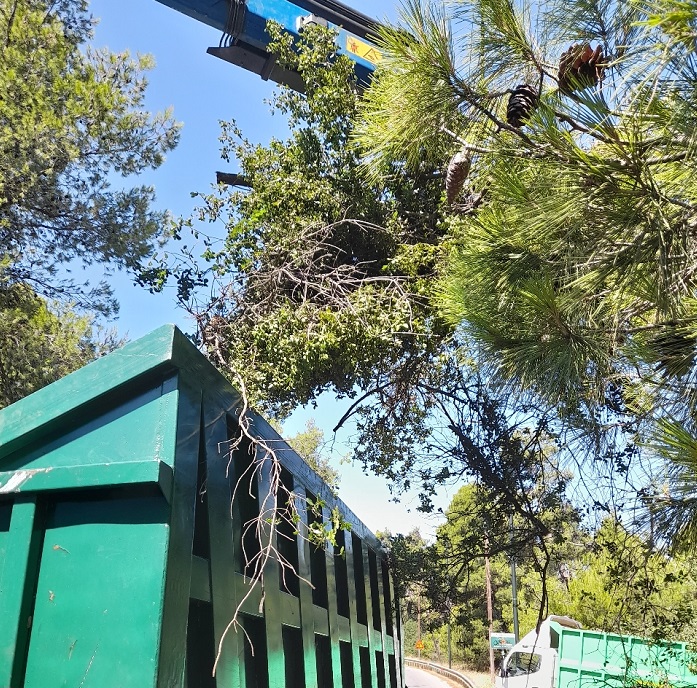 ΣΠΑΠ: Ολοκληρώθηκαν οι Προληπτικές Αντιπυρικές Εργασίες Κλαδεύσεων στο Δήμο Διονύσου