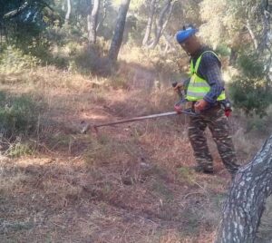 ΣΠΑΠ : Ο Σύνδεσμος  με ομάδα εργαζομένων και εθελοντών του συμμετείχε στον καθαρισμό του λόφου του Προφήτη Ηλία Νέας Πεντέλης.