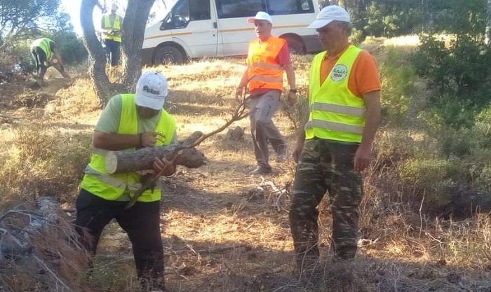 ΣΠΑΠ : Ο Σύνδεσμος  με ομάδα εργαζομένων και εθελοντών του συμμετείχε στον καθαρισμό του λόφου του Προφήτη Ηλία Νέας Πεντέλης.