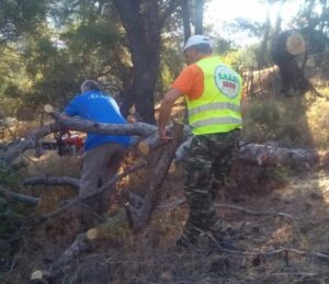 ΣΠΑΠ : Ο Σύνδεσμος  με ομάδα εργαζομένων και εθελοντών του συμμετείχε στον καθαρισμό του λόφου του Προφήτη Ηλία Νέας Πεντέλης.