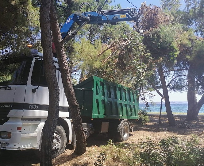 ΣΠΑΠ : Ο Σύνδεσμος ολοκλήρωσε τις Προληπτικές Αντιπυρικές Εργασίες στο Άλσος του Πεζοδρόμου της Νέας Μάκρης