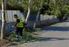 Μαρούσι: Με αμείωτους ρυθμούς συνεχίζονται οι καθαρισμοί κοινόχρηστων χώρων και η συντήρηση πρασίνου στο Δήμο– Σε επιφυλακή οι δυνάμεις Πολιτικής Προστασίας