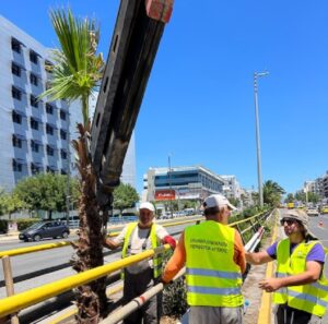 Περιφέρεια Αττικής:  Με ταχείς ρυθμούς συνεχίζονται οι ολιστικές παρεμβάσεις για την αναβάθμιση των χώρων πρασίνου σε  νησίδες κεντρικών οδικών αξόνων