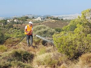 ΣΠΑΠ : Ολοκληρώθηκε το 3ο Εθελοντικό Πότισμα για το 2022 στον Κοκκιναρά Κηφισιάς