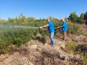 ΣΠΑΠ : Ολοκληρώθηκε το 3ο Εθελοντικό Πότισμα για το 2022 στον Κοκκιναρά Κηφισιάς