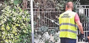 Μαρούσι: Ολοκληρώθηκαν οι εργασίες καθαρισμού και συντήρησης πρασίνου των Σχολείων και Παιδικών Σταθμών του Δήμου